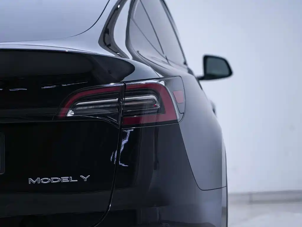 Tesla Model Y — миниатюра 13