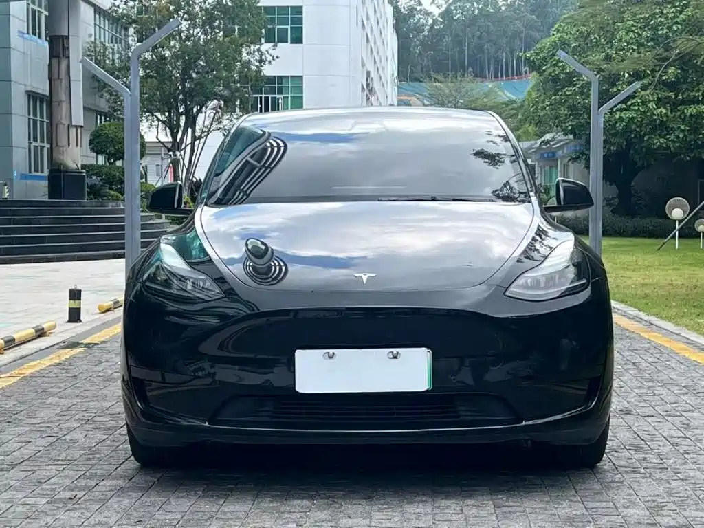 Tesla Model Y — миниатюра 2
