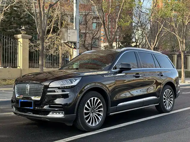 LINCOLN FLYING HOME 2024