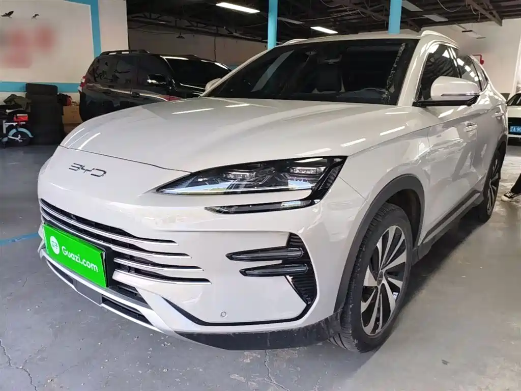 Byd PLUS New Energy 2024