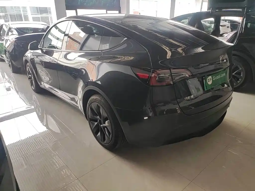Tesla Model Y — миниатюра 5
