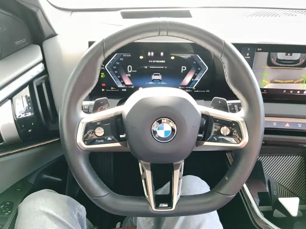 BMW X3 — миниатюра 11