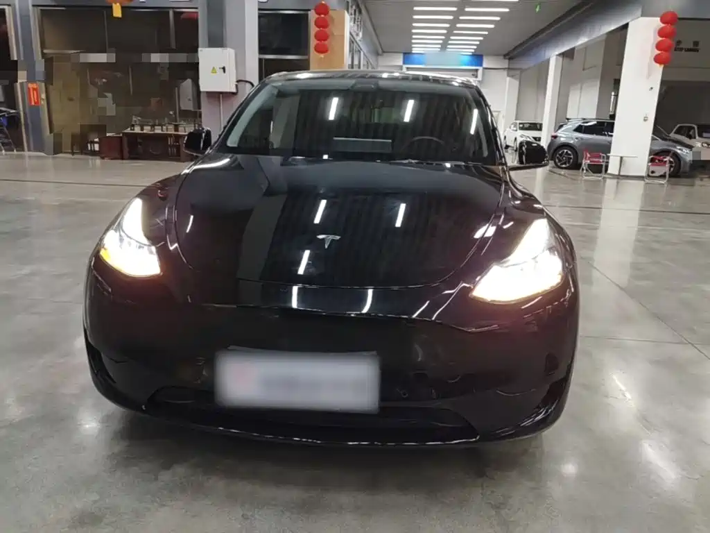 Tesla Model Y — миниатюра 3