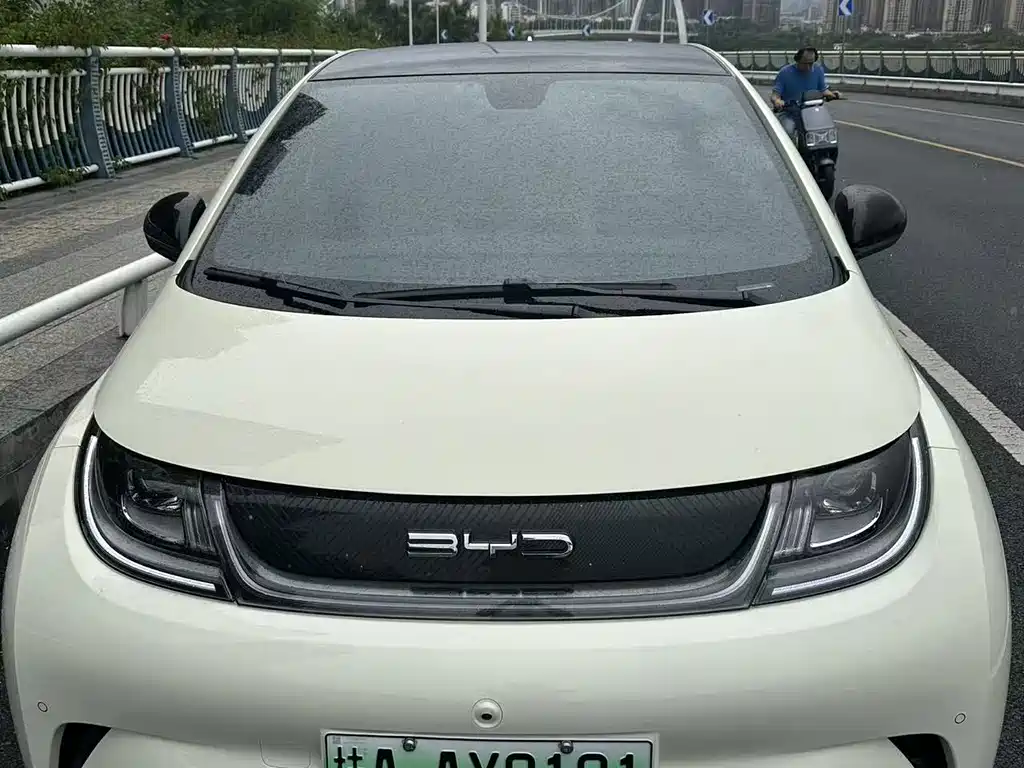 BYD Dolphin — миниатюра 4