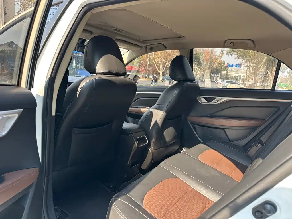 GEELY AUTOMOBILE VISION