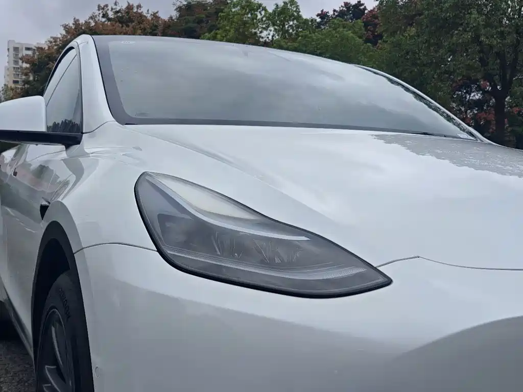 Tesla Model Y — миниатюра 14