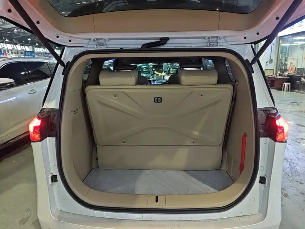 Buick GL8 — миниатюра 19