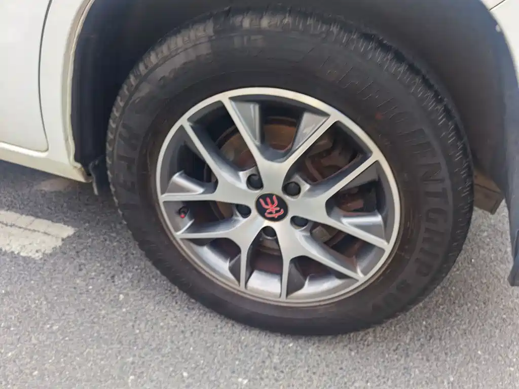 BYD Song — миниатюра 13