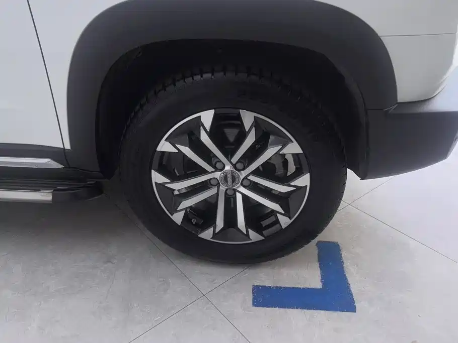 Haval Dargo 2.0T DCT 2WD Mid Splendid Hunt Dog Edition, фото 6