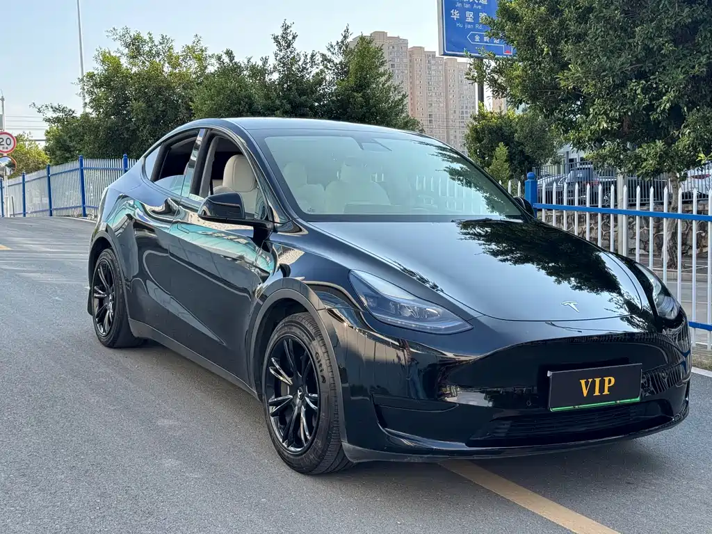 Tesla Model Y — миниатюра 3