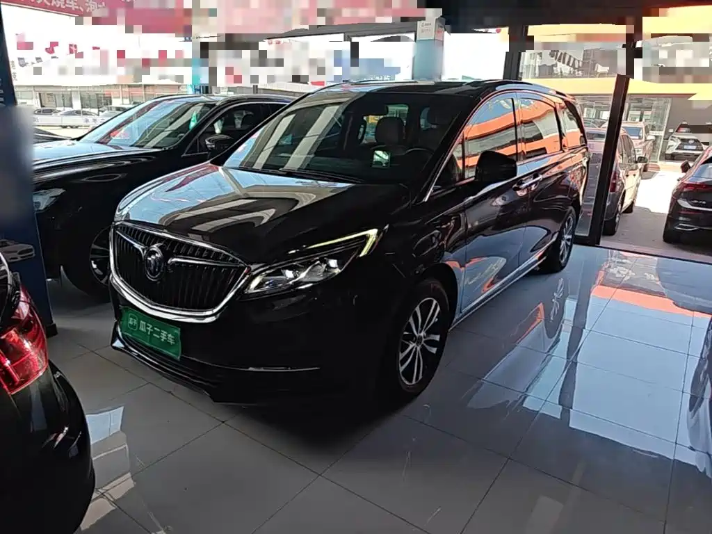 Buick GL8 — миниатюра 2