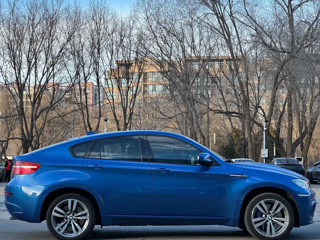 BMW X6 M 2013 X6 M