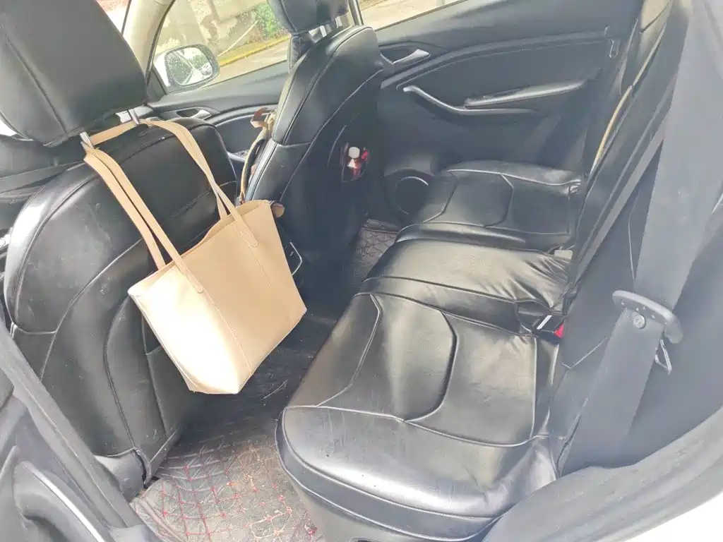 BYD Song — миниатюра 18
