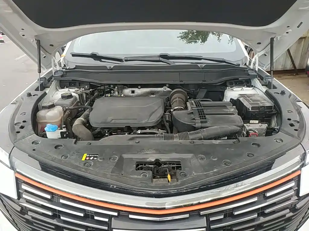 Haval Shenshou — миниатюра 20