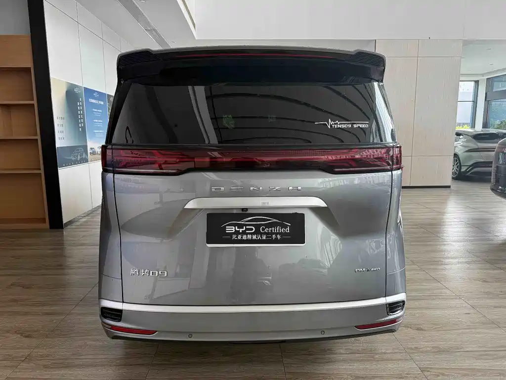 Denza Denza D9 — миниатюра 9