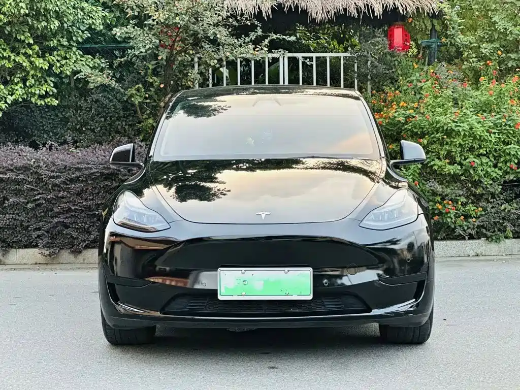 Tesla Model Y — миниатюра 2