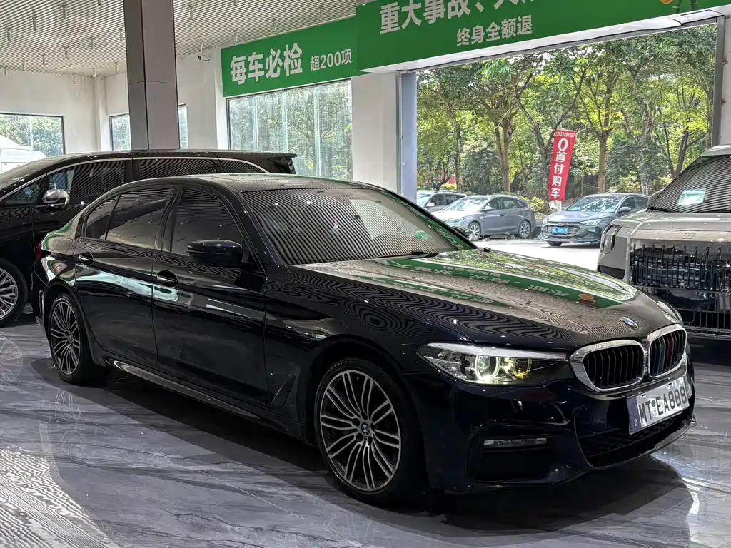 BMW 5 Series — миниатюра 3