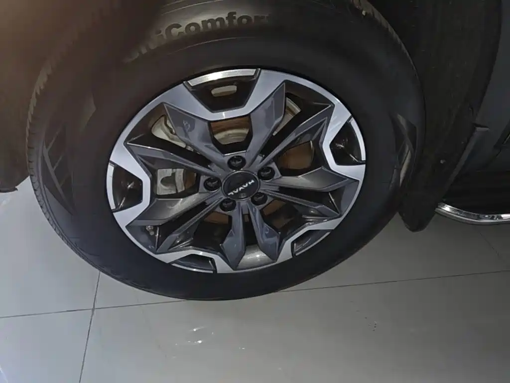 Haval Big Dog — миниатюра 23