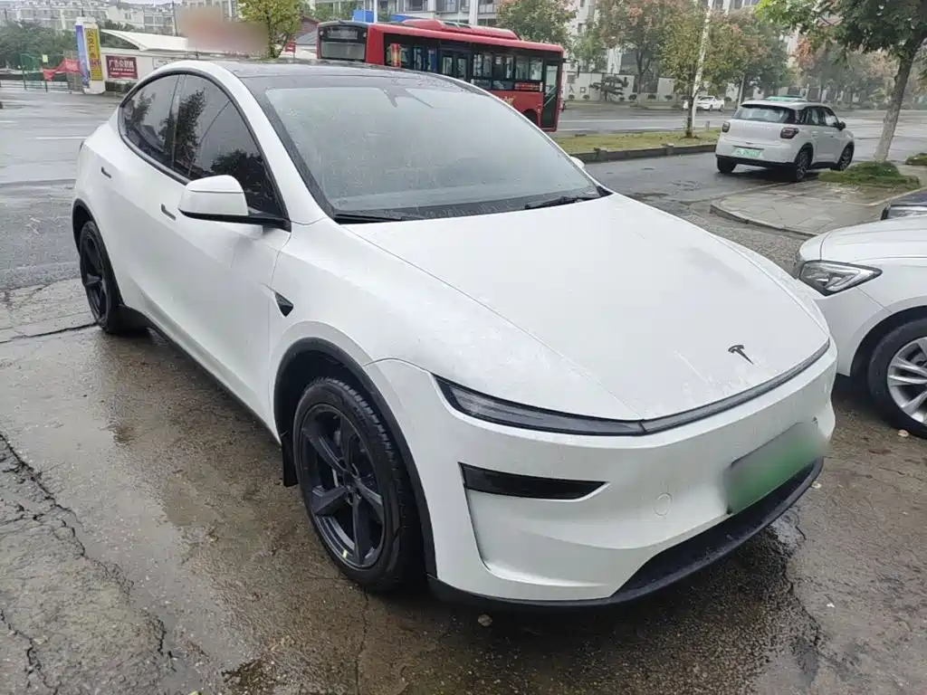 Tesla Model Y — миниатюра 4