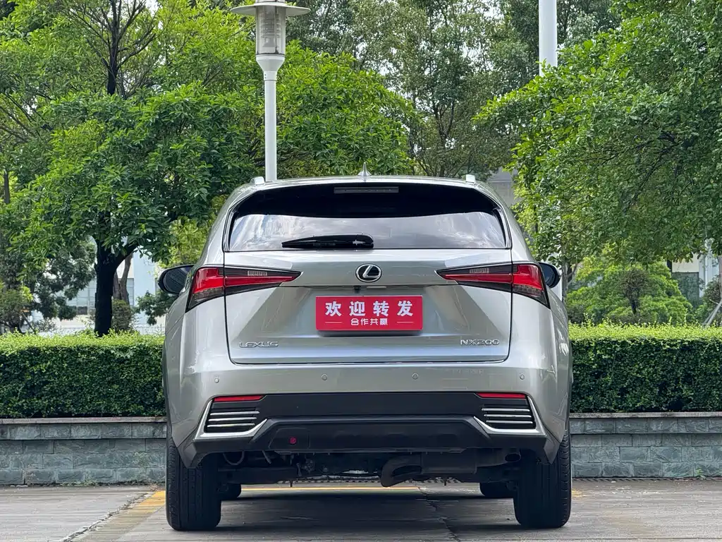 Lexus NX 2020 200 VI