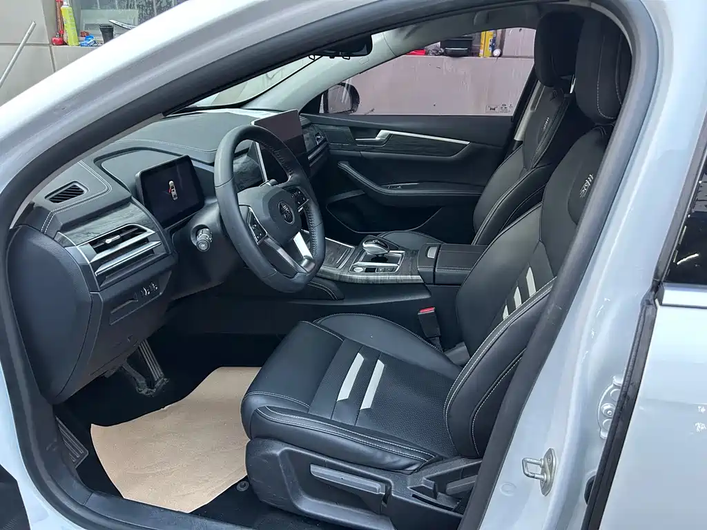 BYD Qin Pro NEV — миниатюра 7