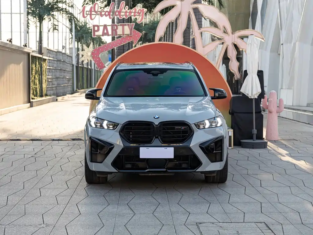 BMW X5 M — миниатюра 2