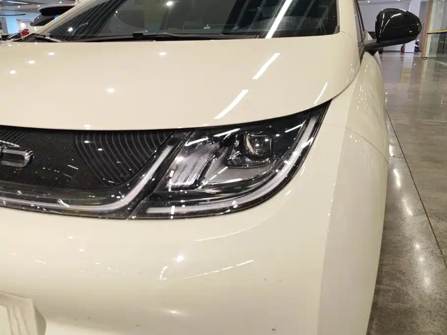BYD Dolphin — миниатюра 5