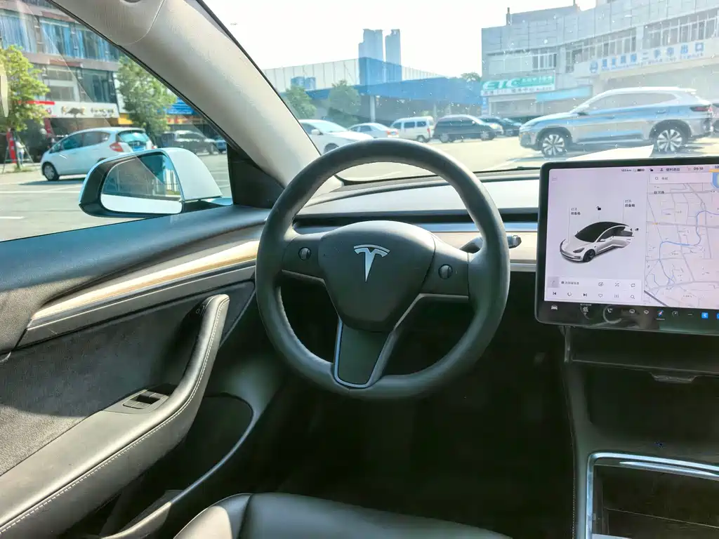 Tesla Model 3 — миниатюра 7