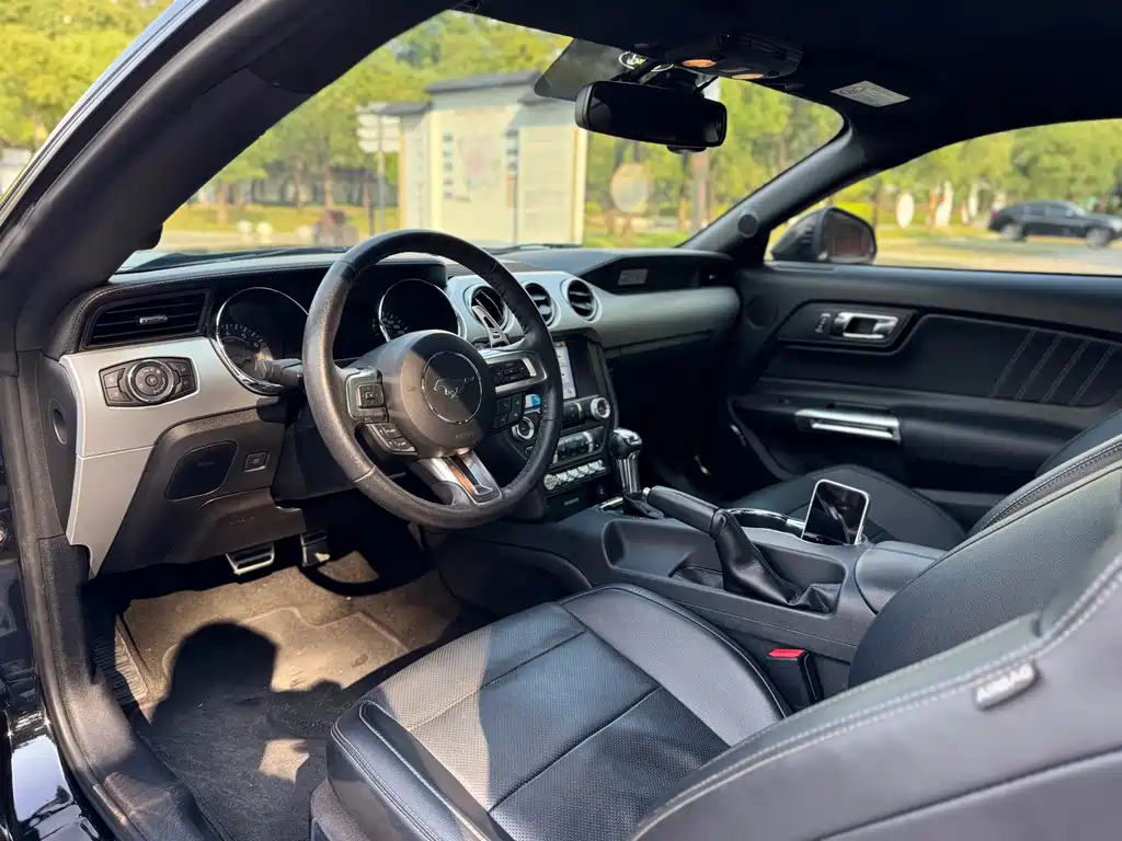 Ford Mustang — миниатюра 7