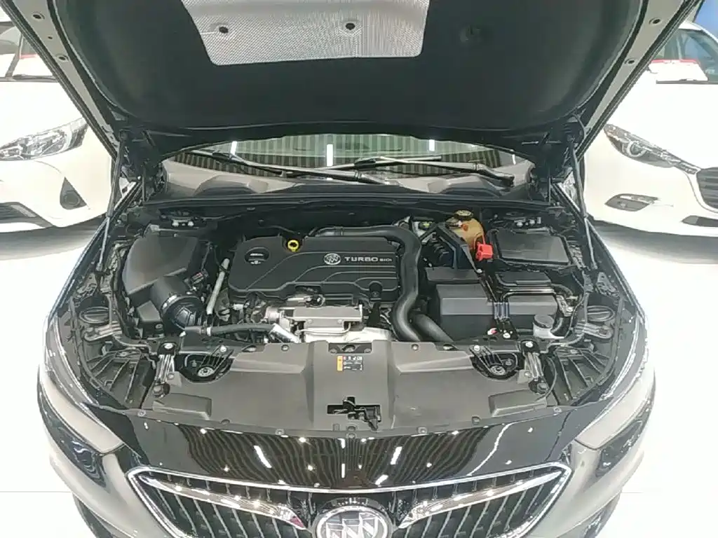 Buick Regal — миниатюра 20