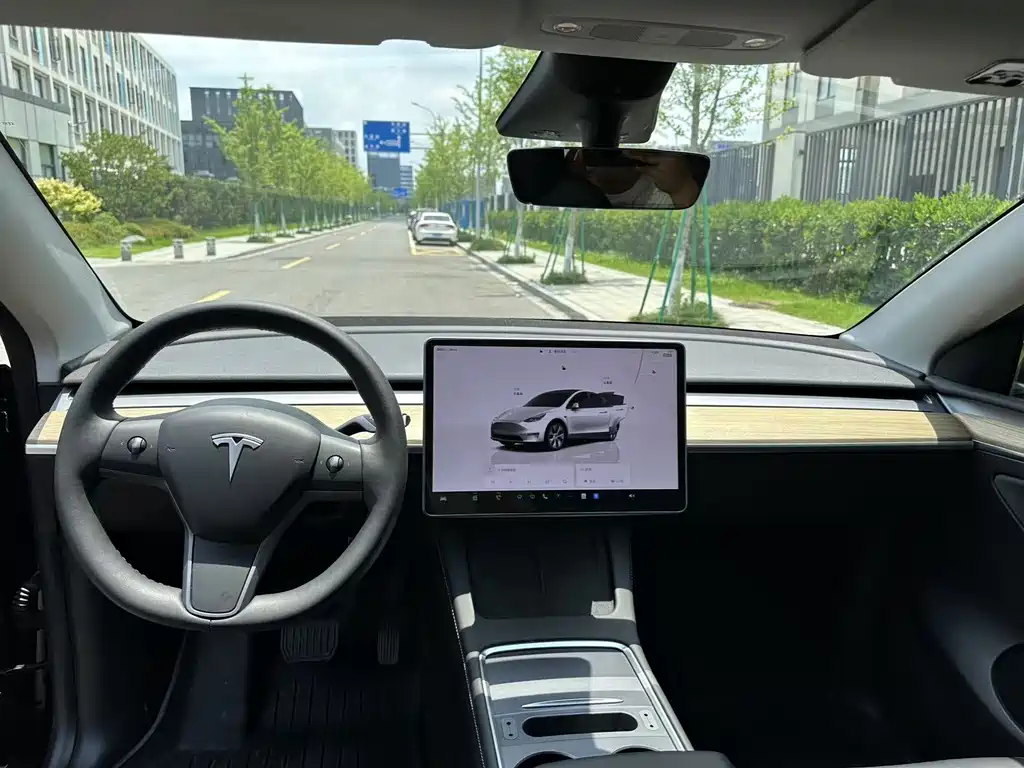 Tesla Model Y — миниатюра 5