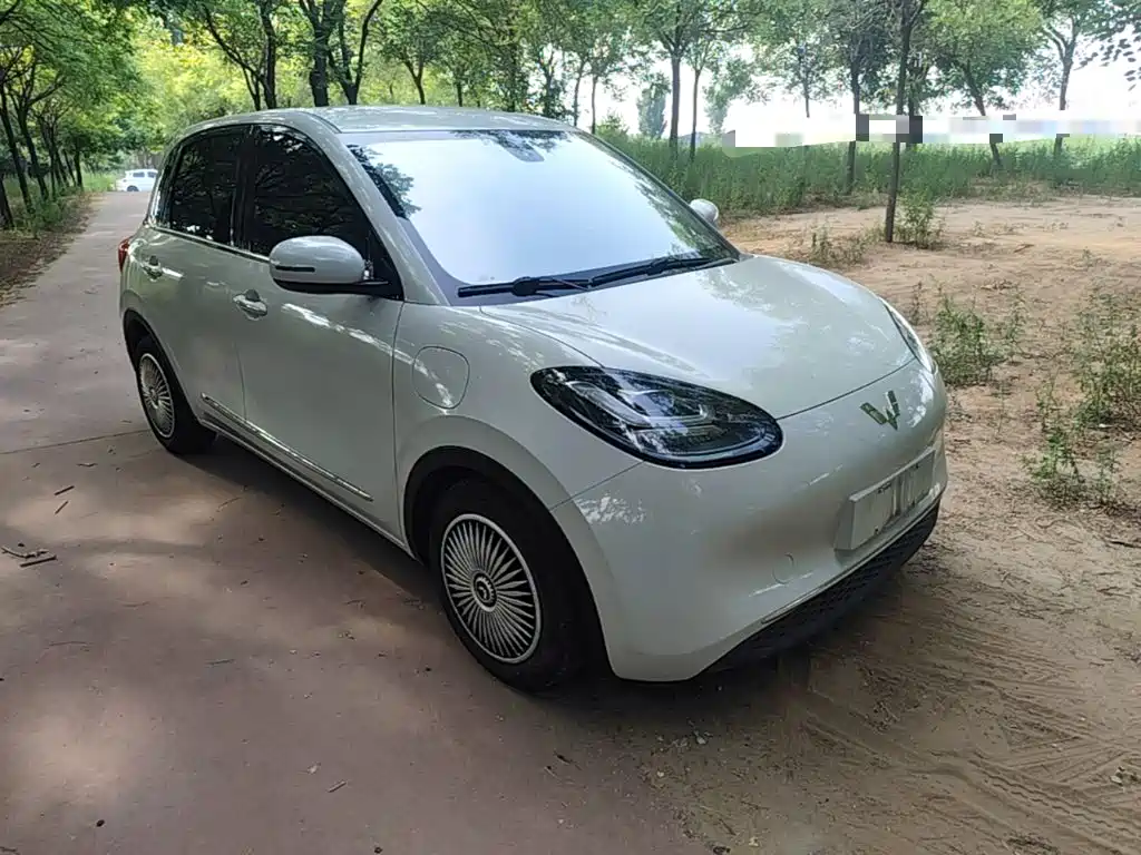 Wuling Binguo 2023 203km