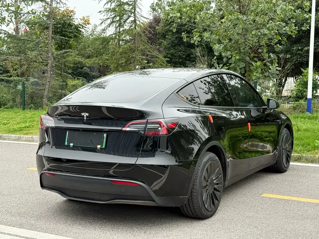 Tesla Model Y — миниатюра 7