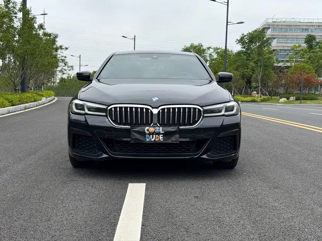 BMW 5 Series — миниатюра 2