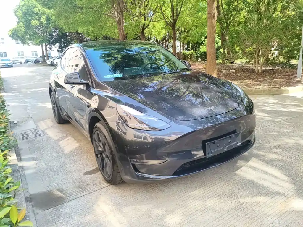 Tesla Model Y — миниатюра 4