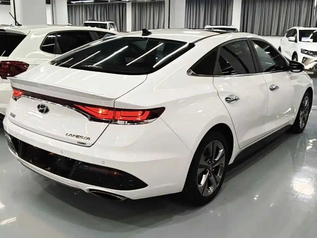 Hyundai Fista — миниатюра 5