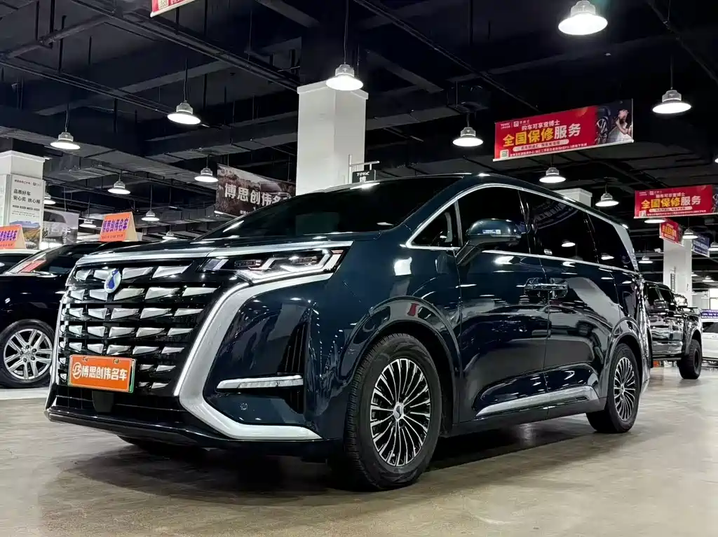 Denza Denza D9