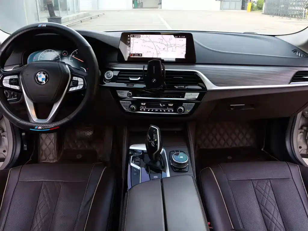 BMW 5 Series 5 2019 530Li Premium Luxury