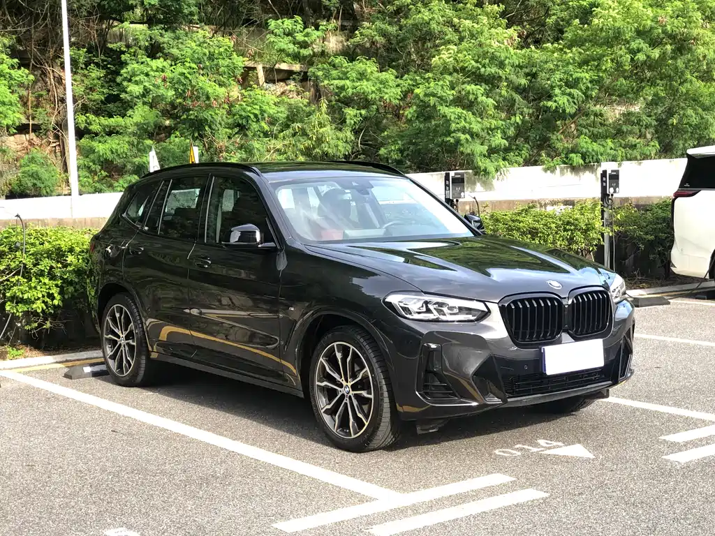 BMW X3 2022 xDrive30i Lead M