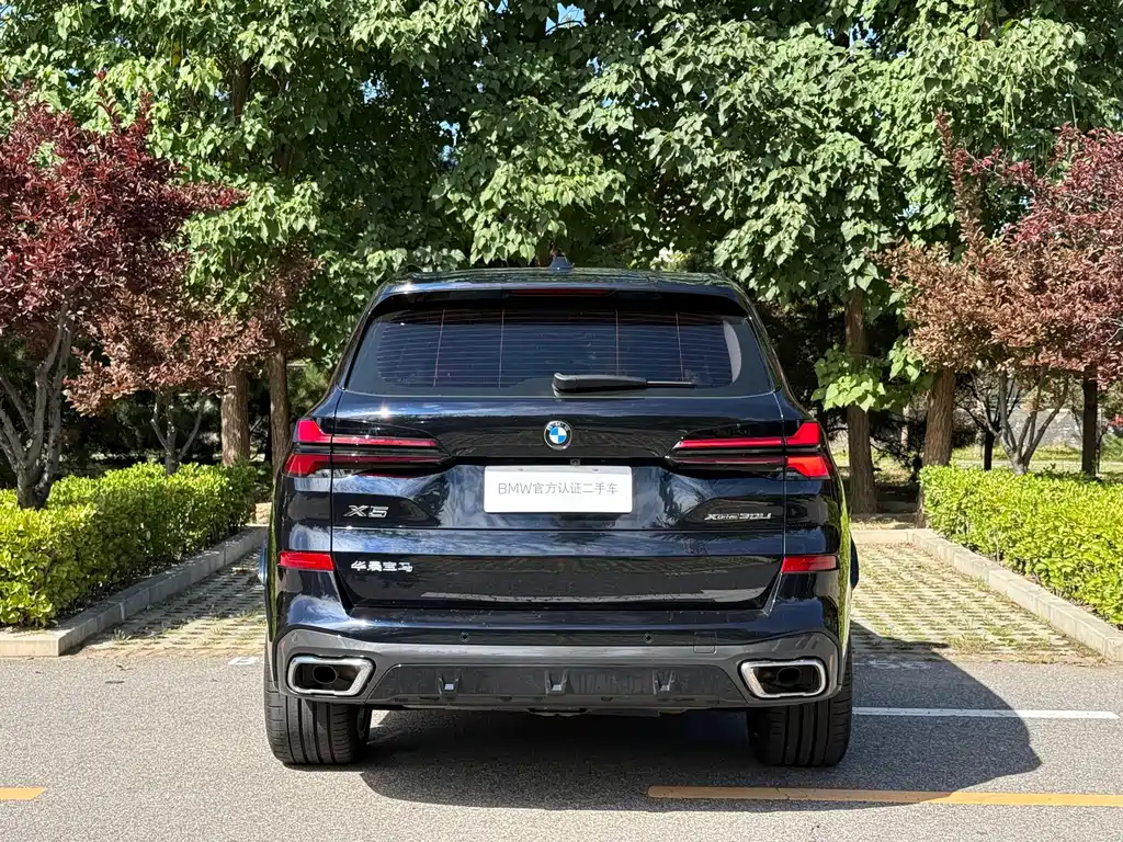 BMW X5 — миниатюра 3