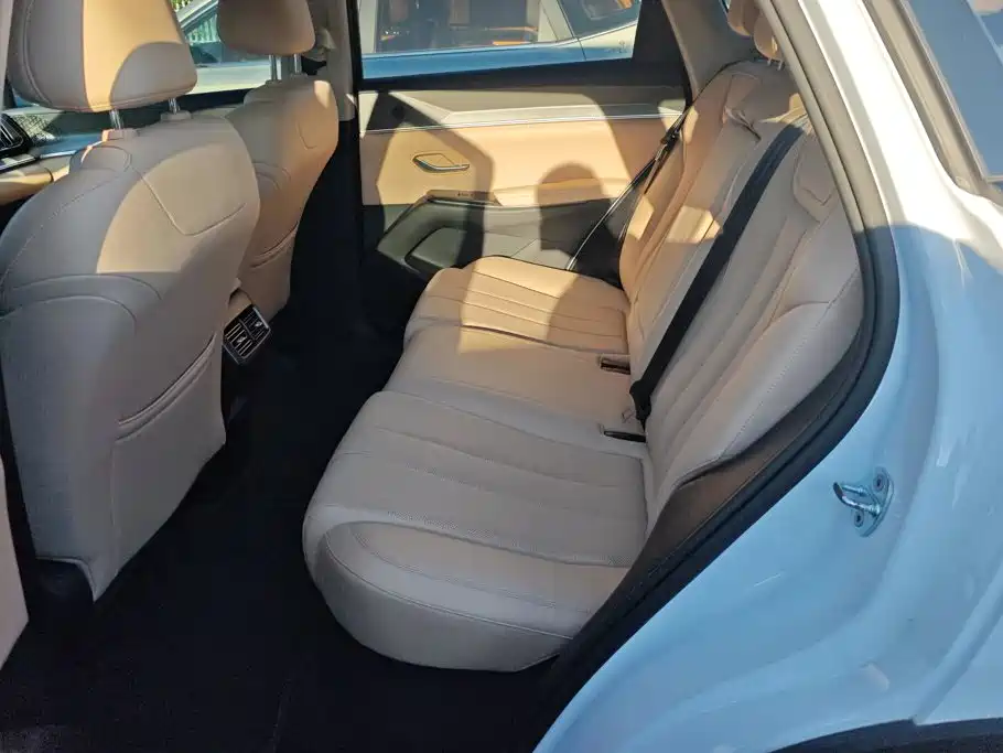 BYD Pro New Energy — миниатюра 11