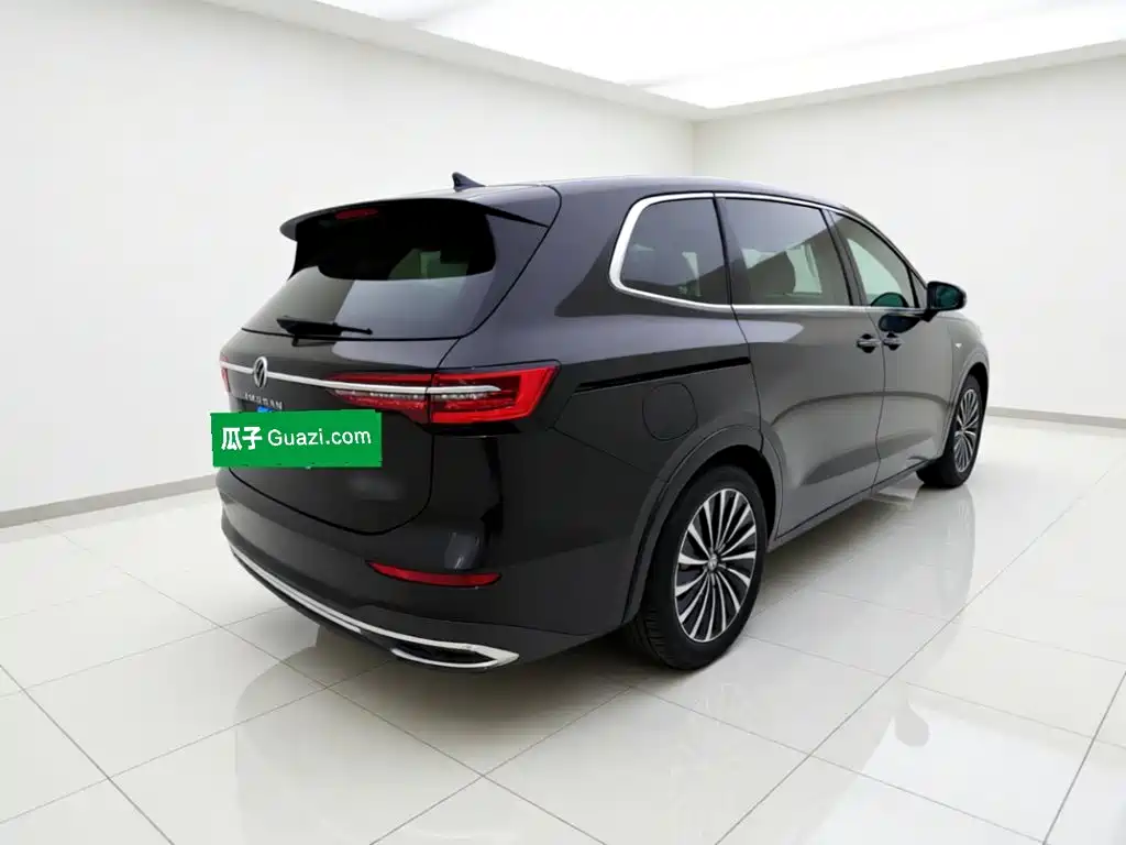 Volkswagen Viloran — миниатюра 6