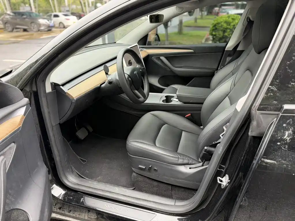 Tesla Model Y — миниатюра 9