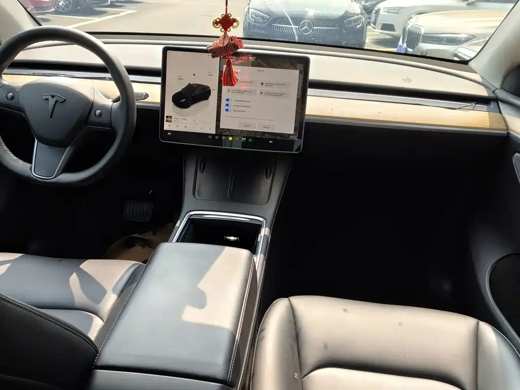 Tesla Model Y — миниатюра 6
