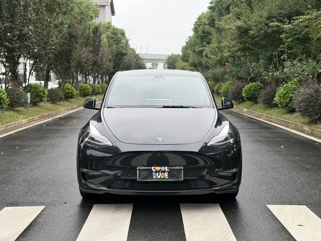Tesla Model Y — миниатюра 2