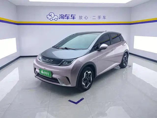 BYD DOLPHIN