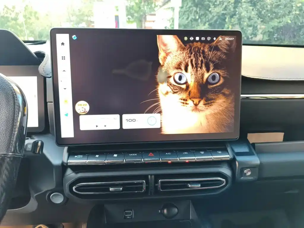 Haval Big Dog PLUS — миниатюра 6