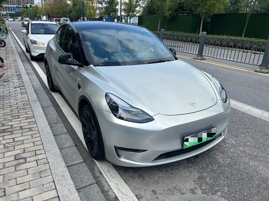 Tesla Model Y — миниатюра 2