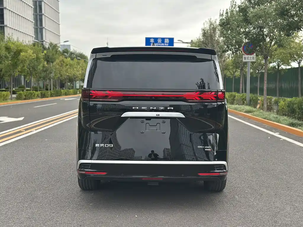 Denza Denza D9 — миниатюра 6