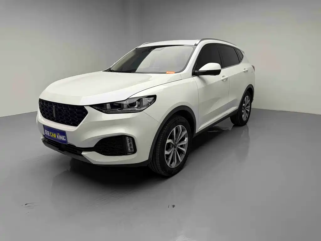Wey Wey VV6 2019